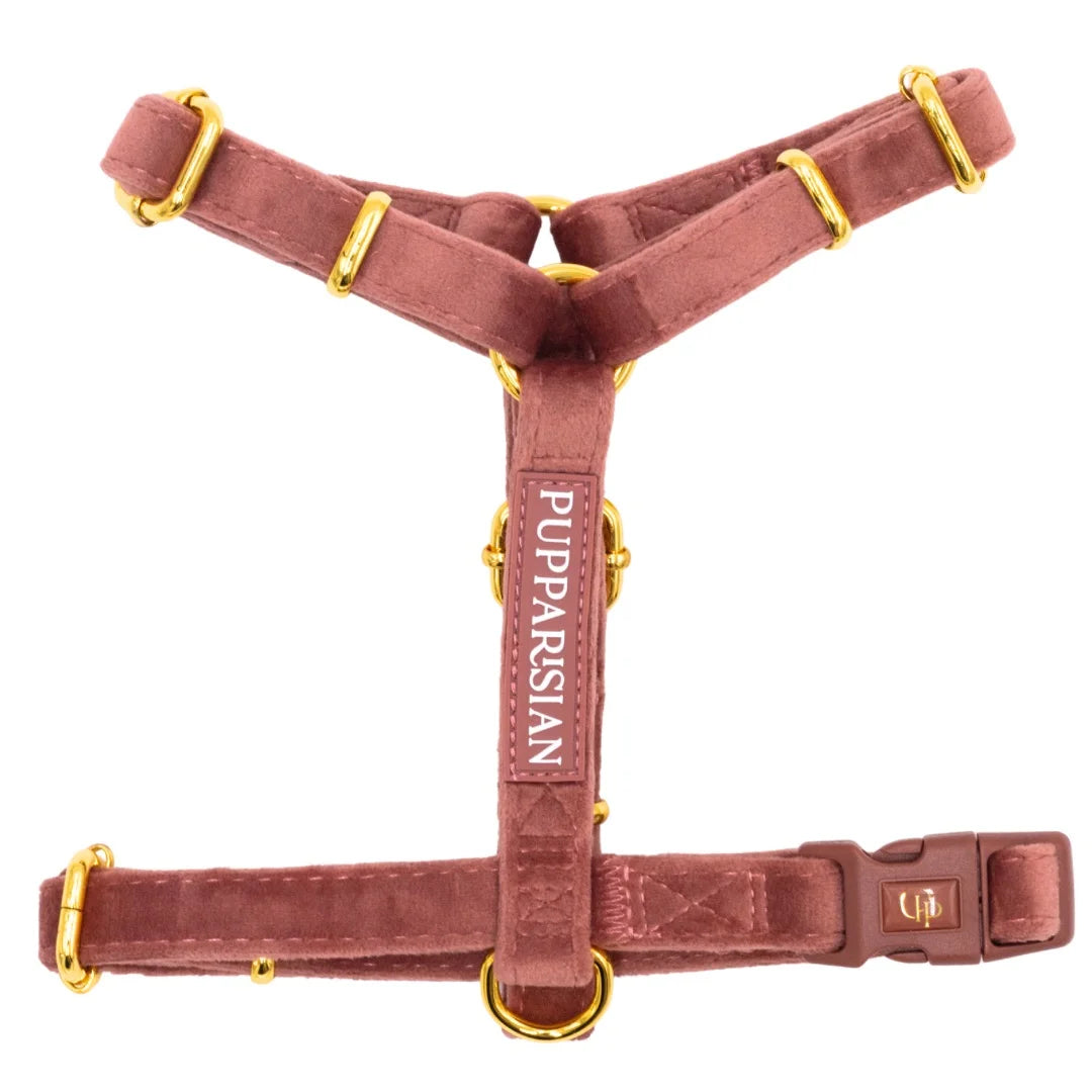 Welurowe szelki guard dla psa z kokardą 2.0 - ceglasty róż
