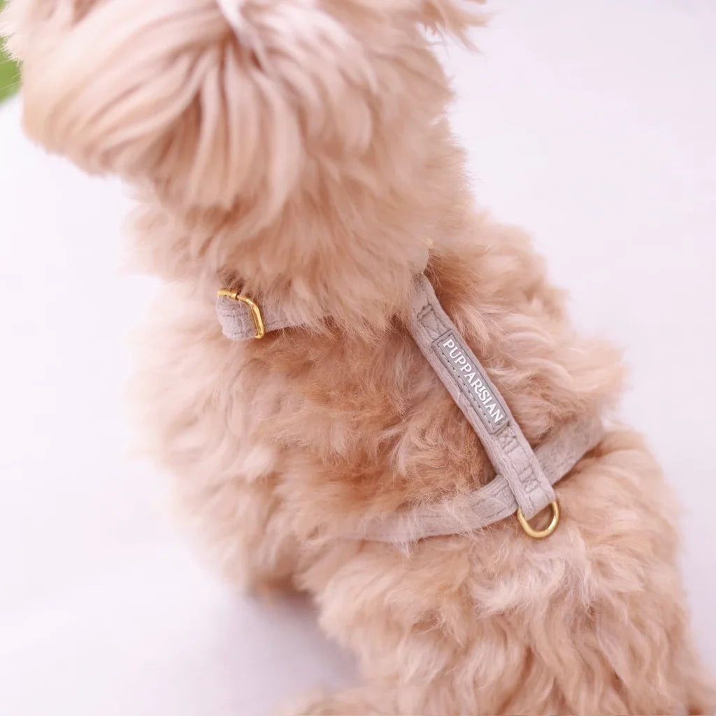 Sametový postroj typu guard pro psa – béžový