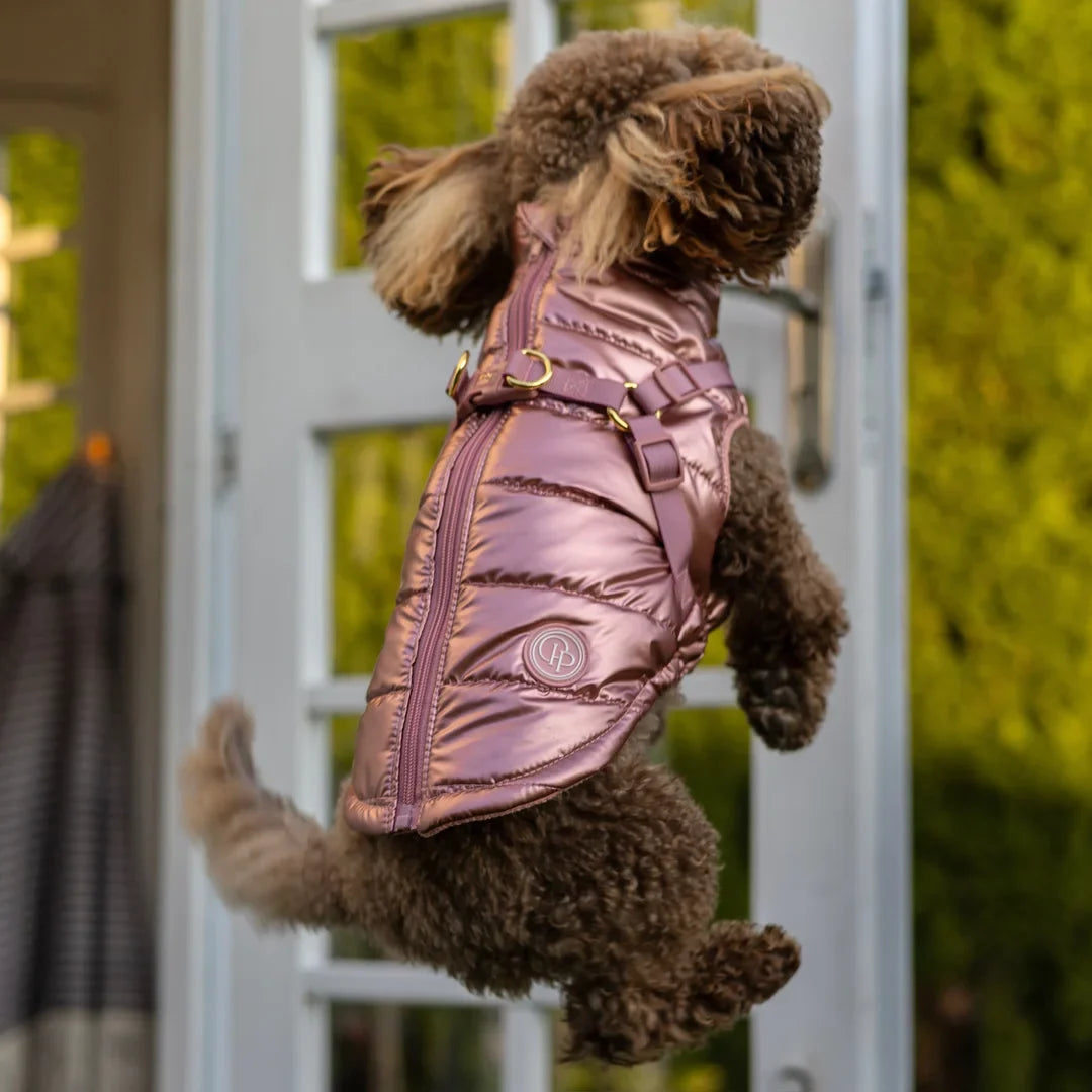 Zimní bunda pro psa 2v1 – zateplená a voděodolná - růžová