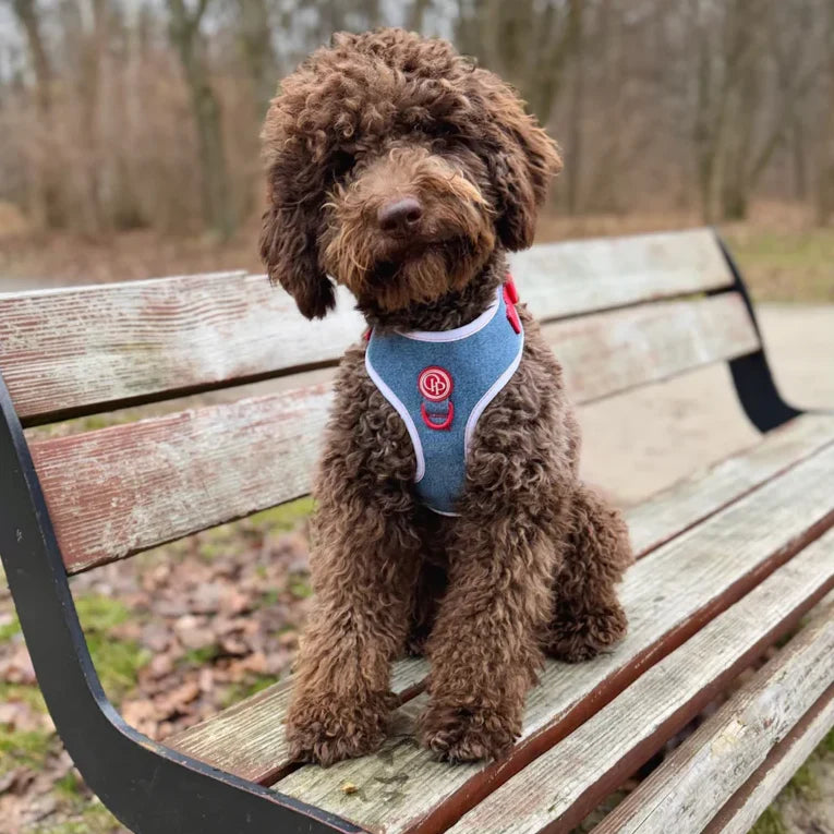 Beztlakový postroj pro psa – jeansový