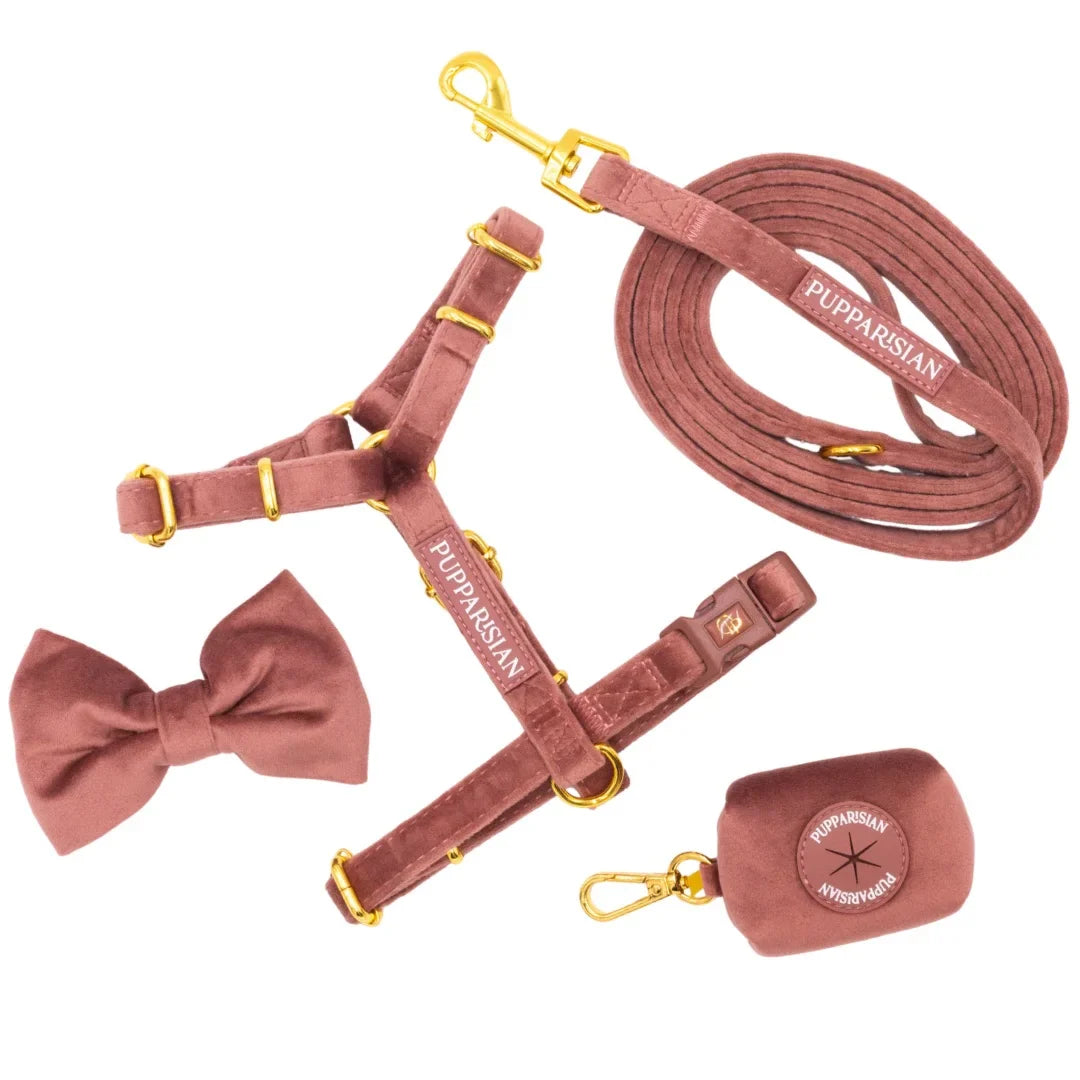 Welurowe szelki guard dla psa z kokardą 2.0 - ceglasty róż