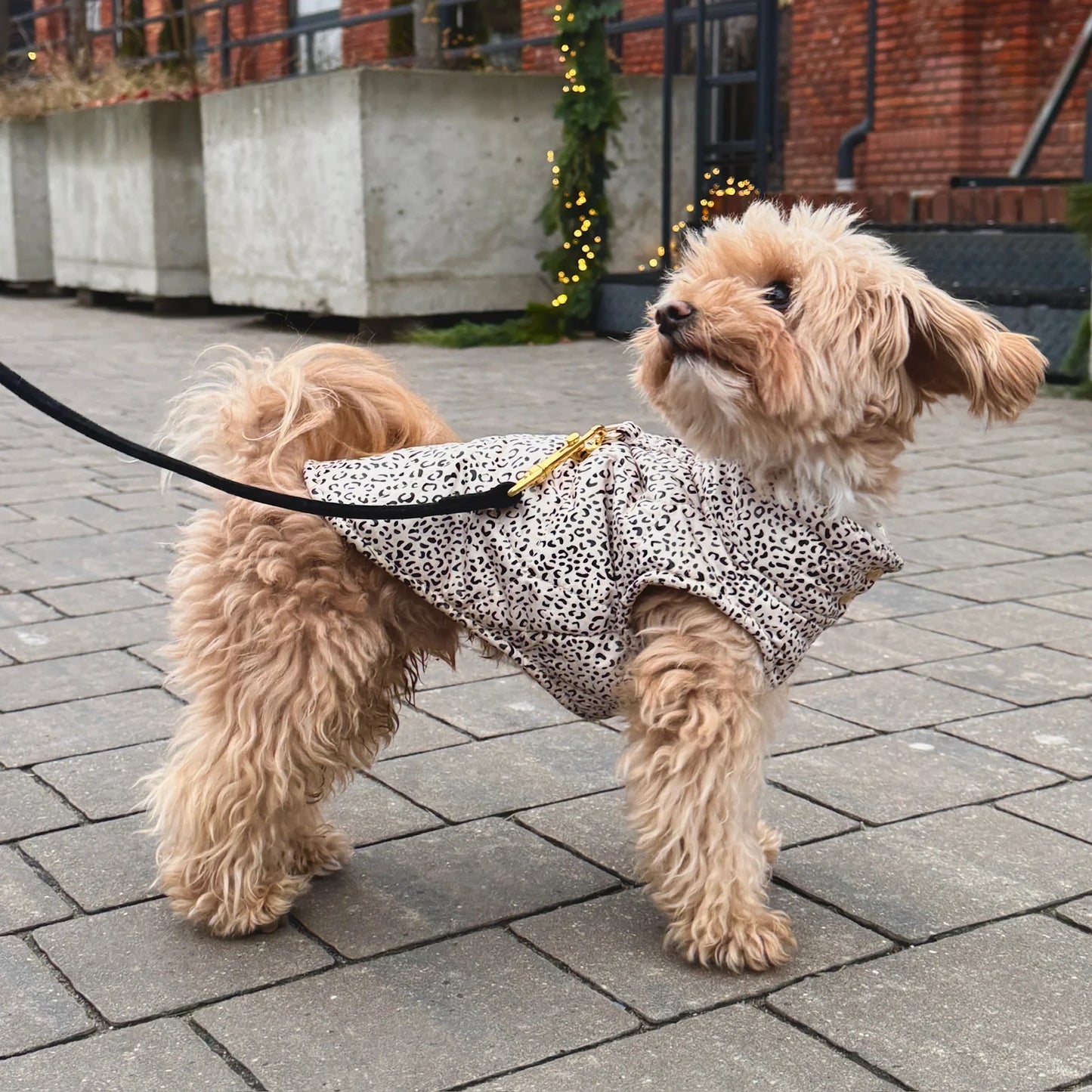 Zimní bunda pro psa s leopardím vzorem – světle béžová