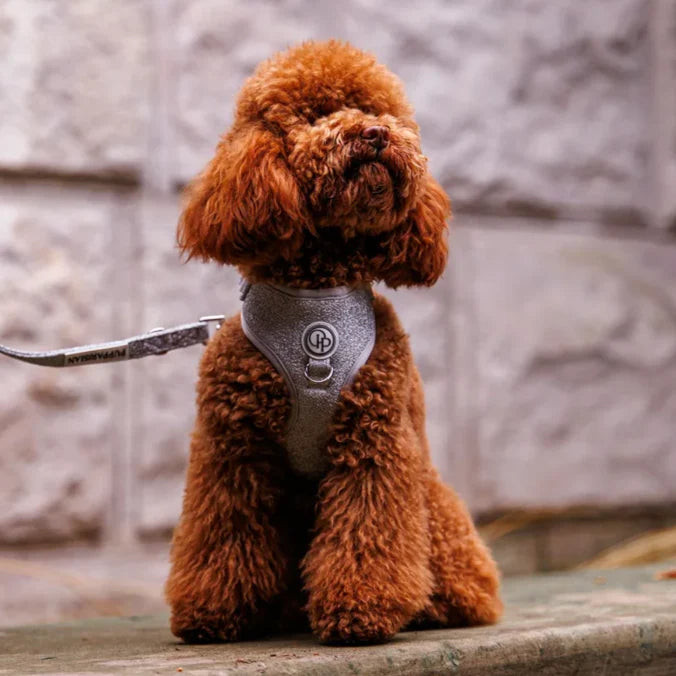 Beztlakový postroj pro psa – stříbrný lesklý