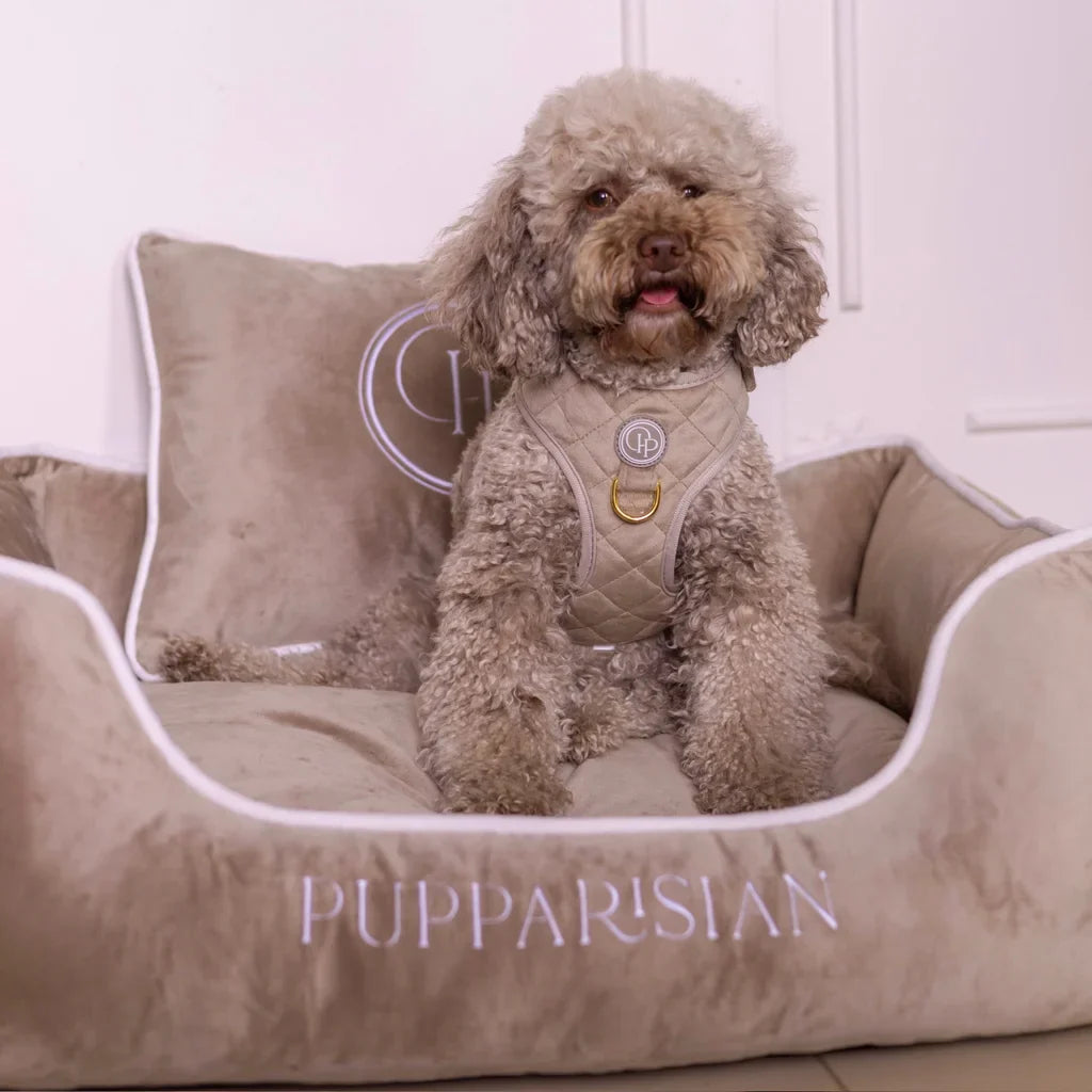 Sametový pelíšek pro psa – béžový