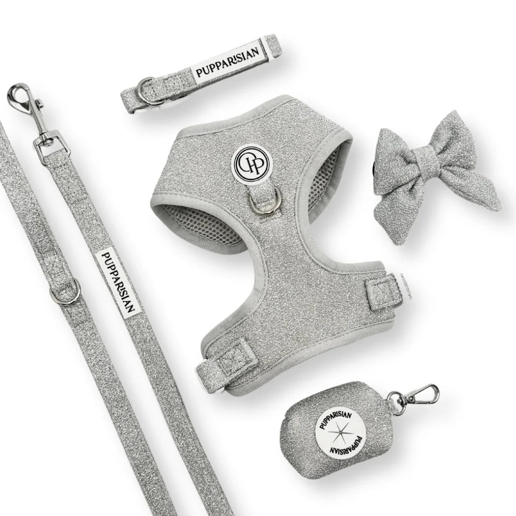 Městské vodítko pro psa 190 cm – stříbrné lesklé