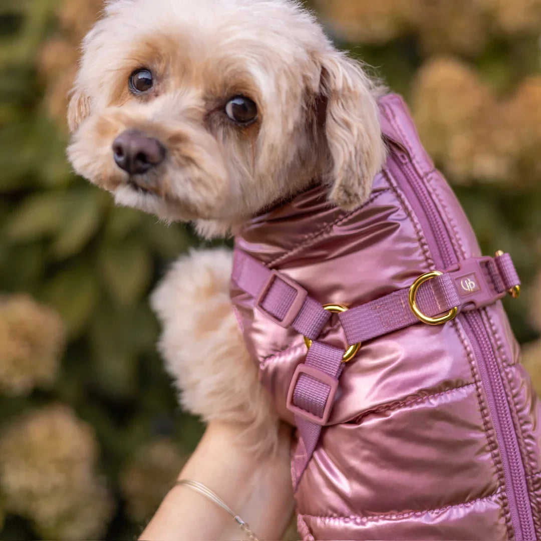 Zimní bunda pro psa 2v1 – zateplená a voděodolná - růžová