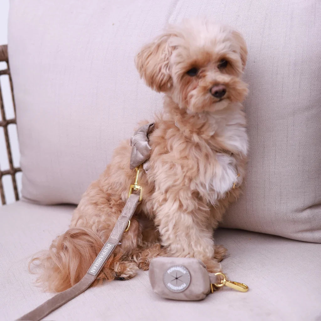 Sametový postroj typu guard pro psa s mašlí – béžový