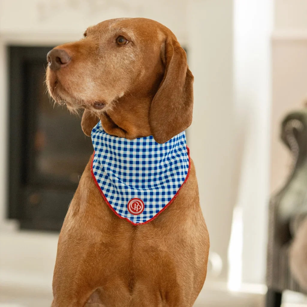 Bandana pro psa v kostce