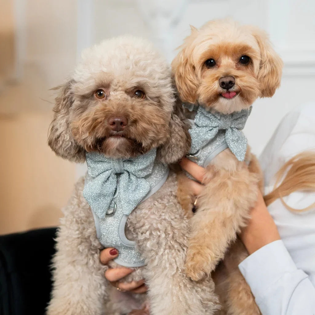 Beztlakový postroj pro psa – stříbrný lesklý