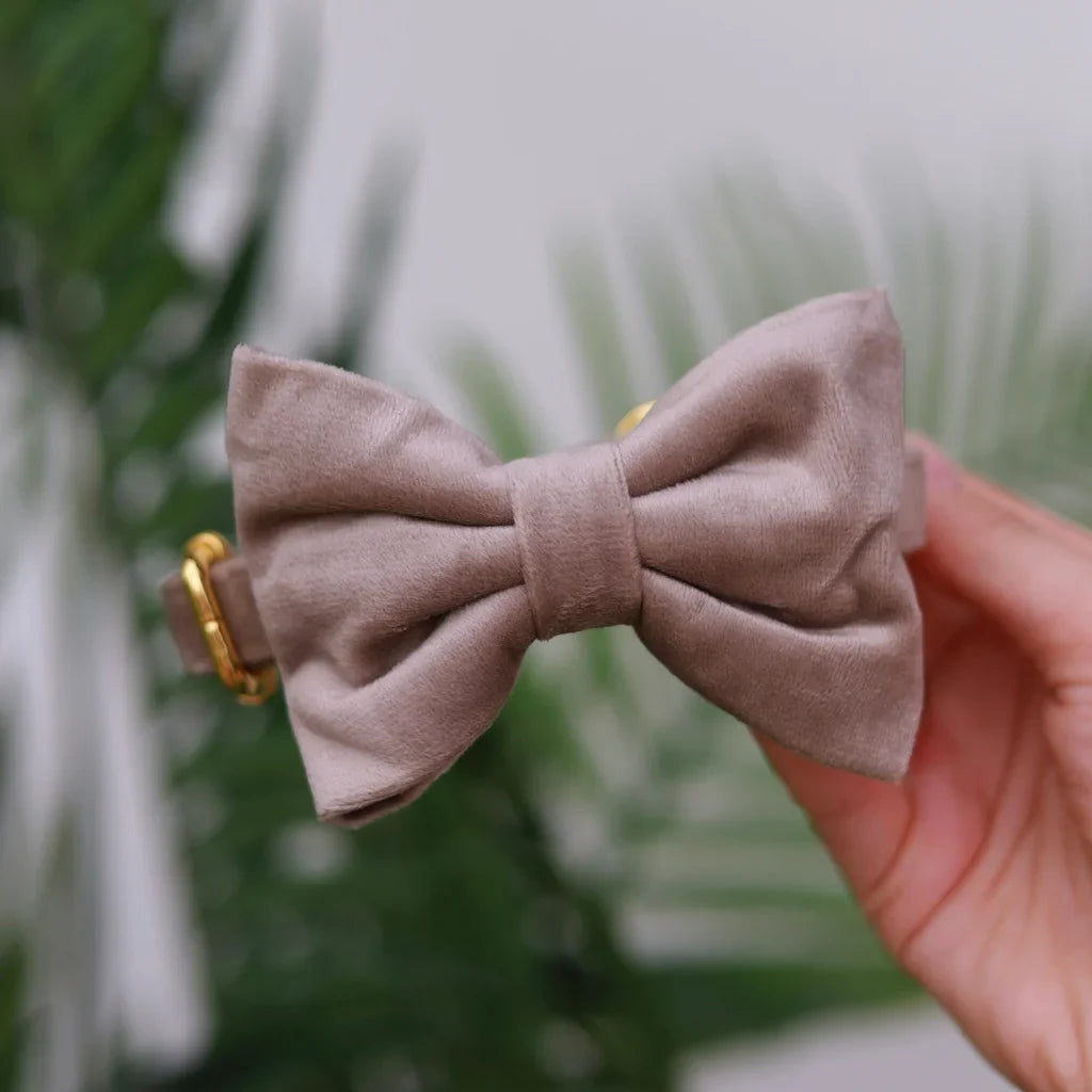 Sametový obojek pro psa – béžový