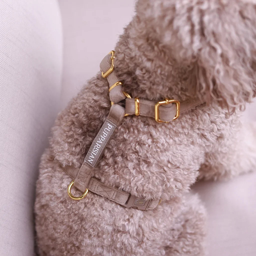 Sametový postroj typu guard pro psa – béžový