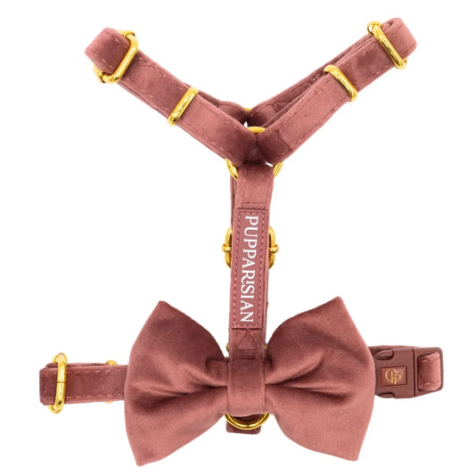 Welurowe szelki guard dla psa z kokardą 2.0 - ceglasty róż