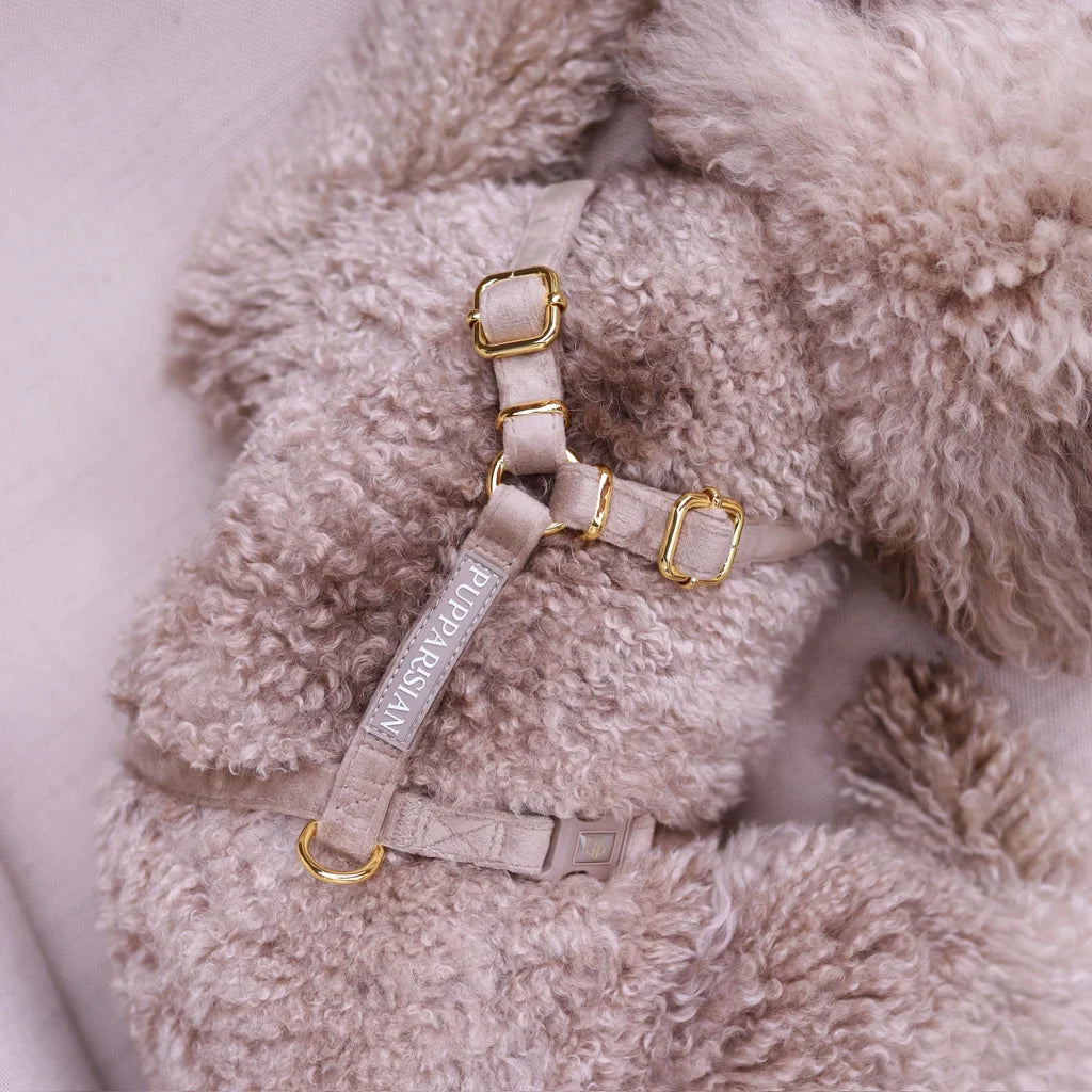 Sametový postroj typu guard pro psa – béžový