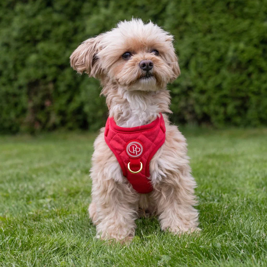 Sametový beztlakový postroj pro psa 2.0 – červený