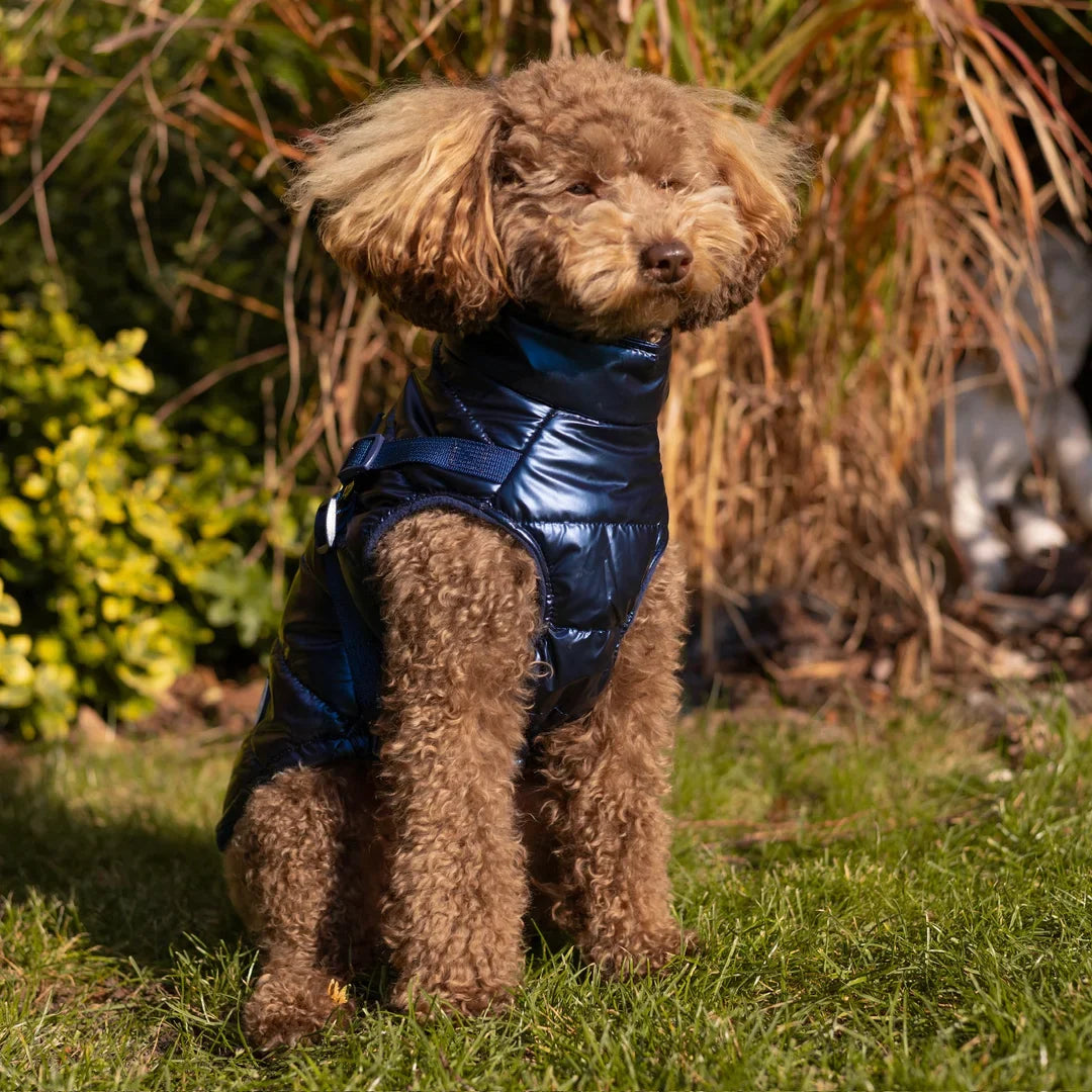 Kurtka dla psa zimowa 2w1 ocieplana wodoodporna - Granatowa