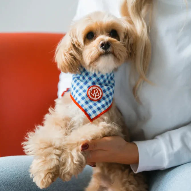 Bandana pro psa v kostce