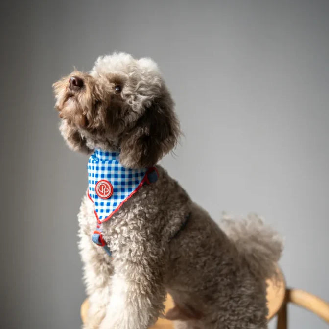 Bandana pro psa v kostce