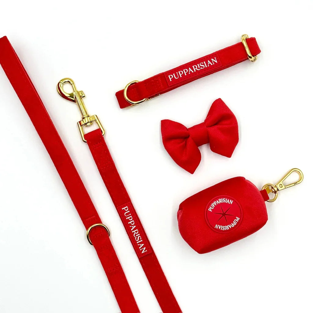 Sametové městské vodítko pro psa – červené 190 cm