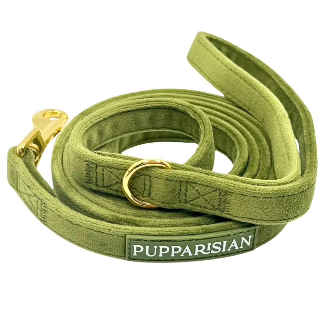 Sametové městské vodítko pro psa – olivově zelené 190 cm