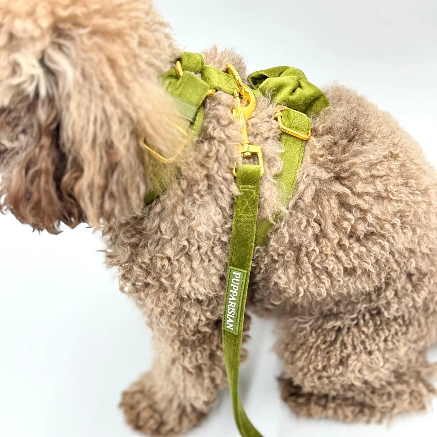 Sametové městské vodítko pro psa – olivově zelené 190 cm