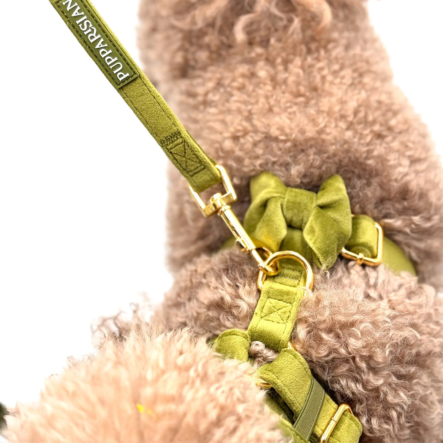 Sametové městské vodítko pro psa – olivově zelené 190 cm