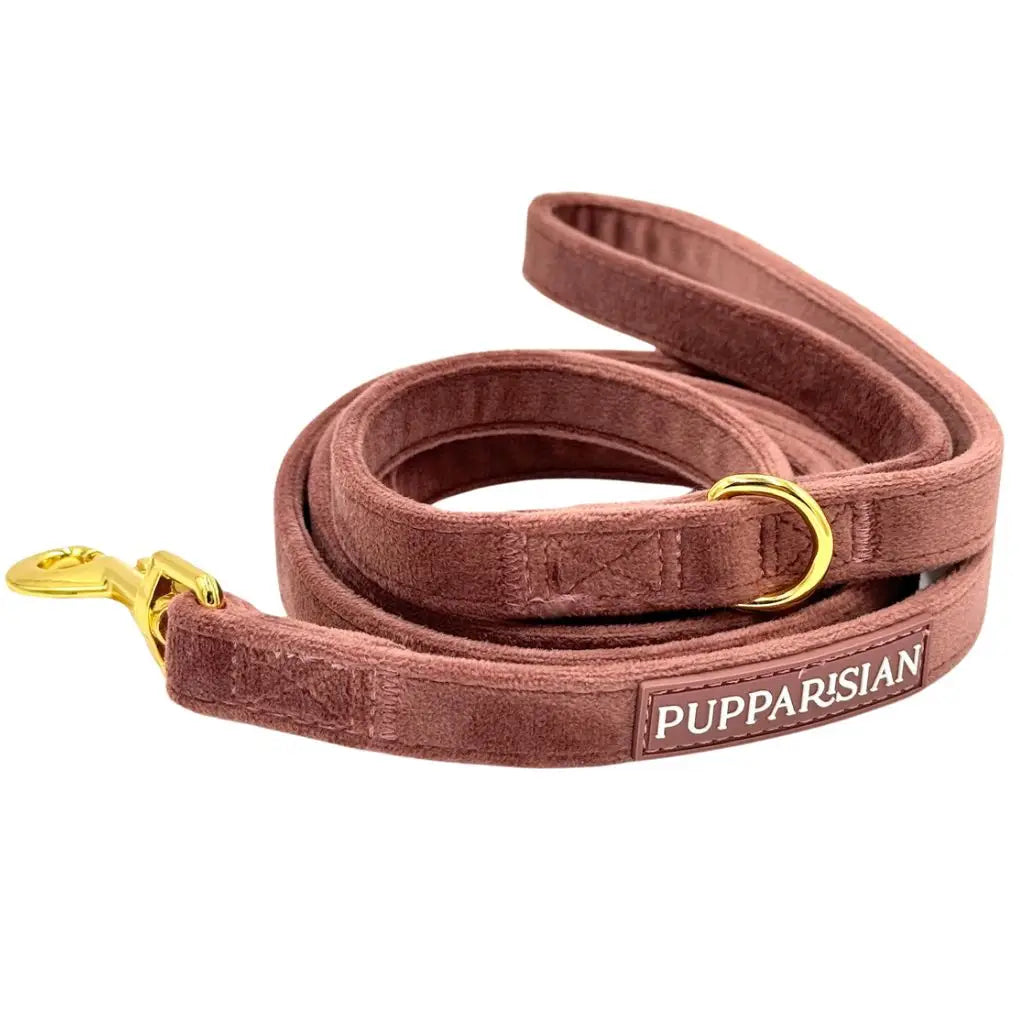 Sametové městské vodítko pro psa – cihlově růžové 190 cm