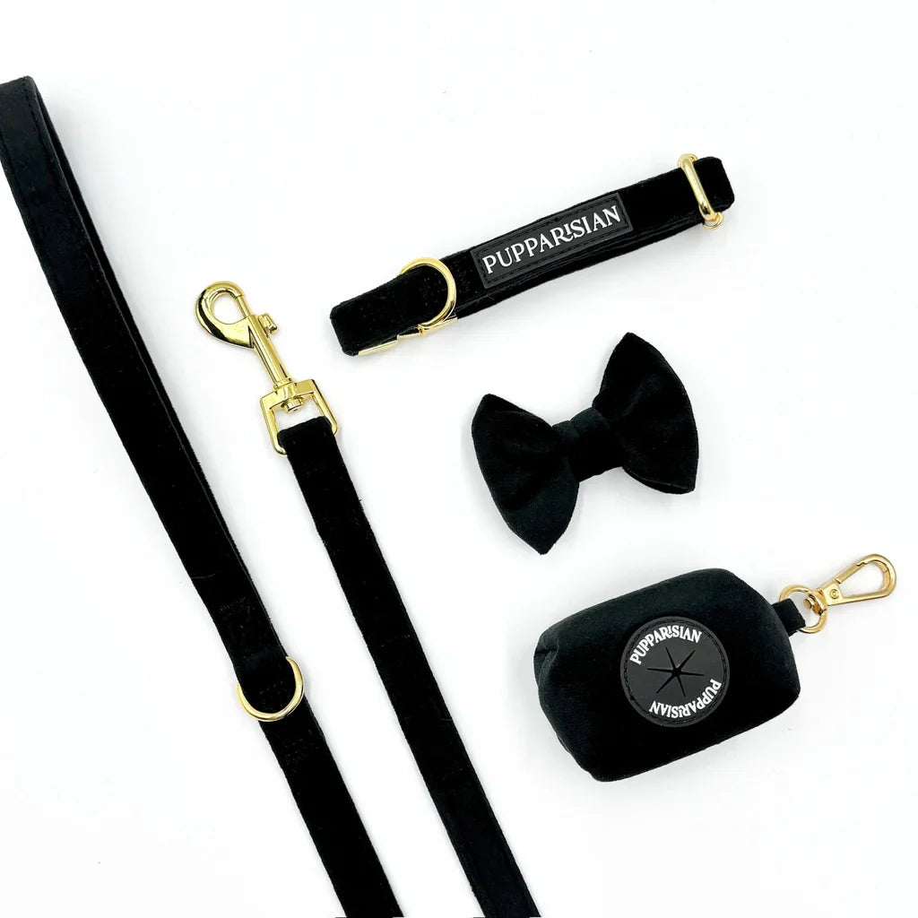 Sametové městské vodítko pro psa – černé 190 cm