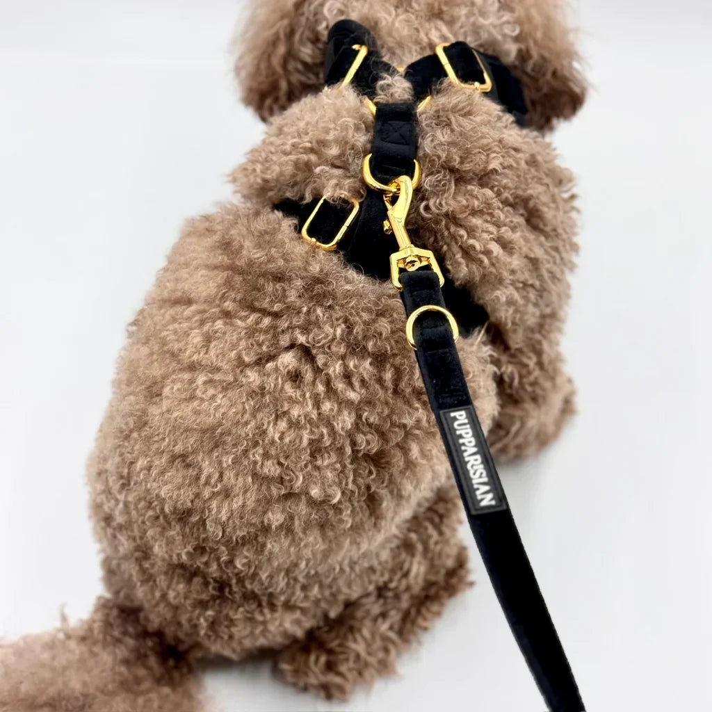 Sametové městské vodítko pro psa – černé 190 cm