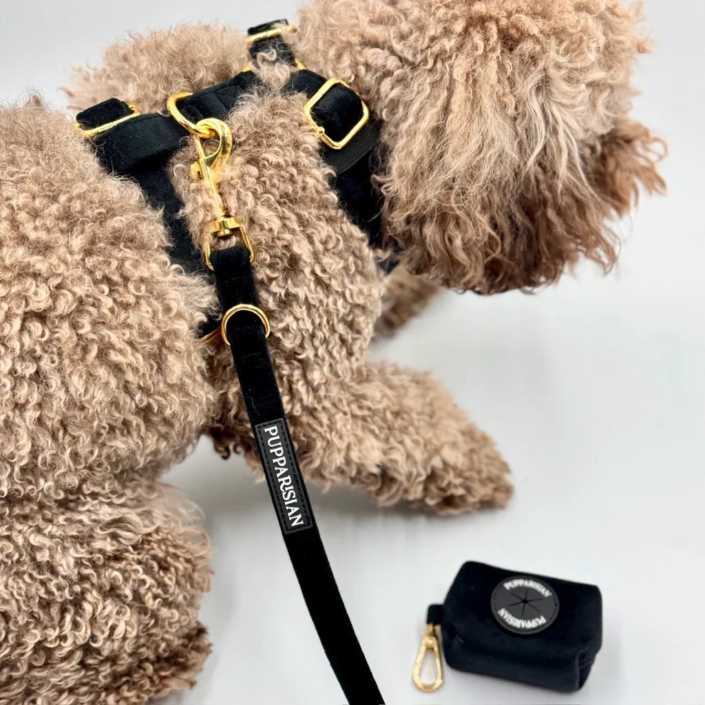 Sametové městské vodítko pro psa – černé 190 cm