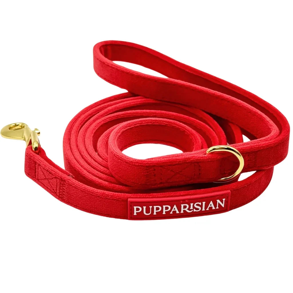 Sametové městské vodítko pro psa – červené 190 cm