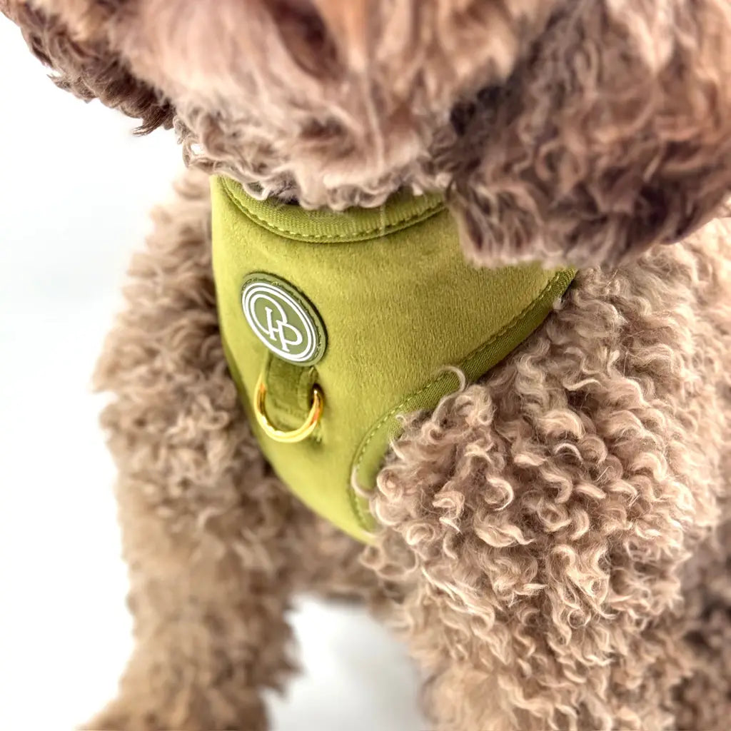 Sametový beztlakový postroj pro psa – olivově zelený