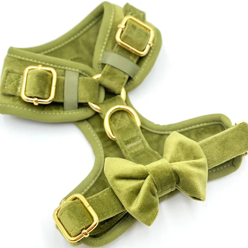 Sametový beztlakový postroj pro psa – olivově zelený