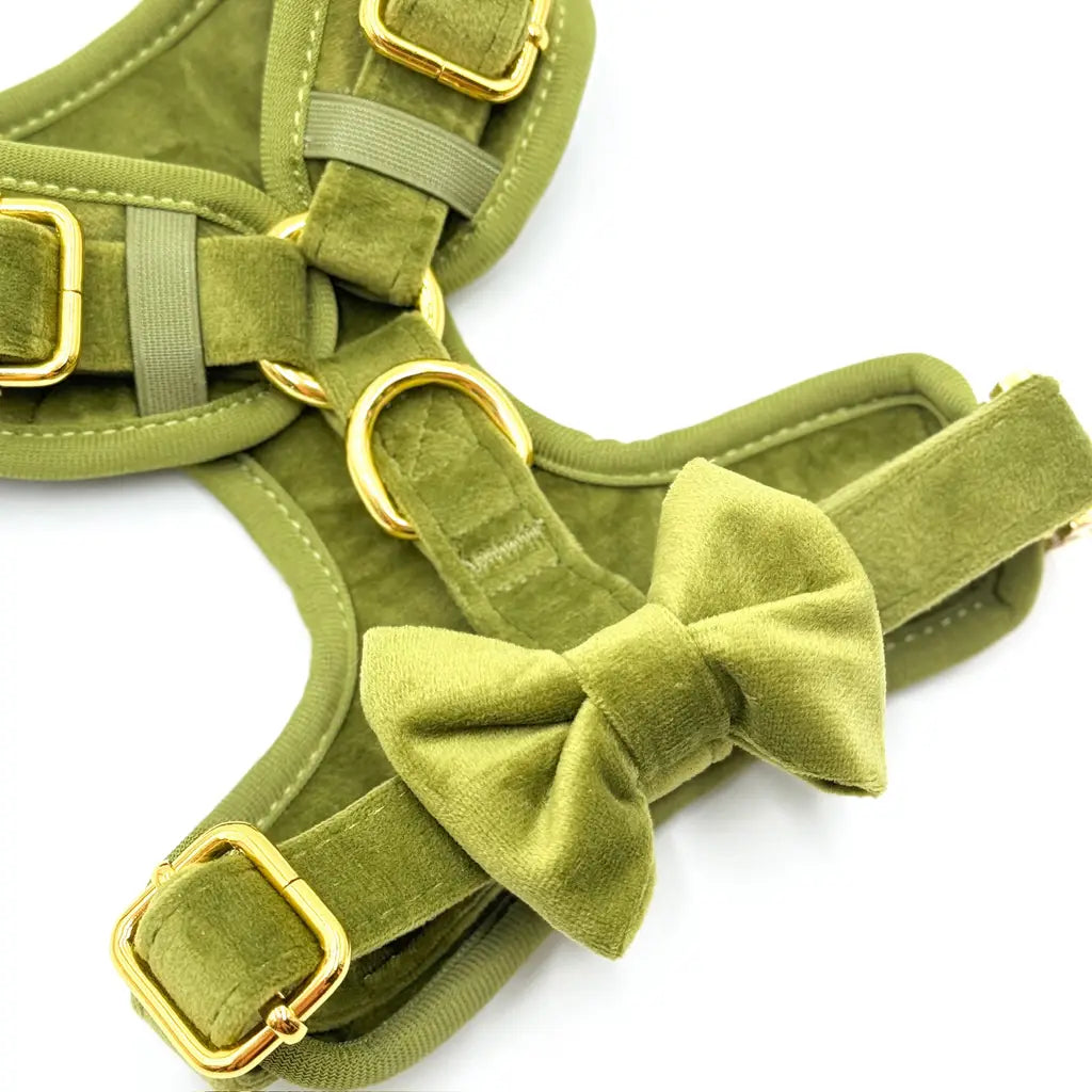 Sametový beztlakový postroj pro psa – olivově zelený