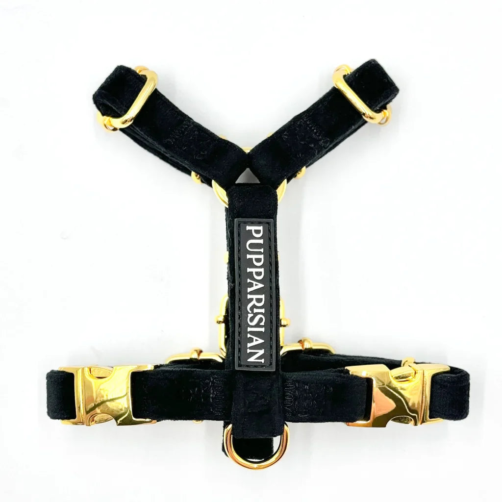 Postroj typu guard pro psa s mašlí – černý