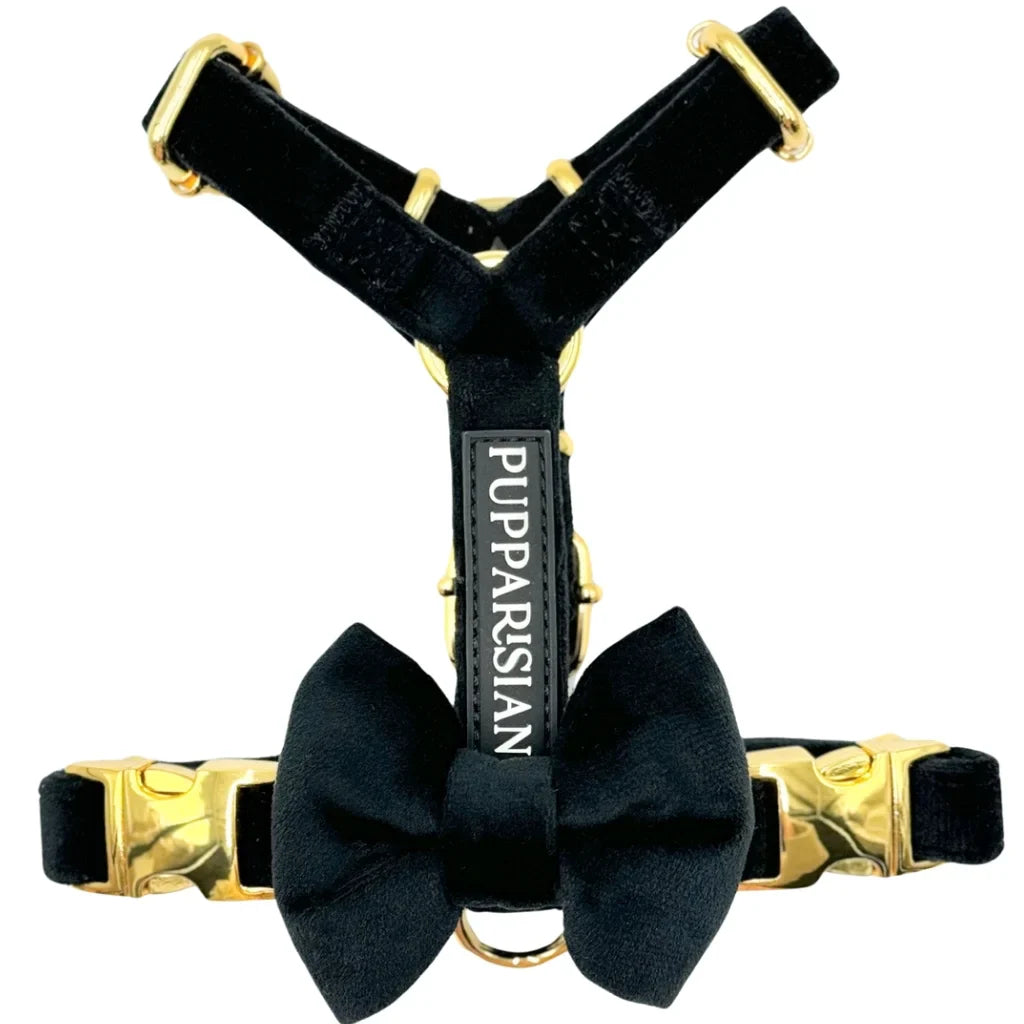 Postroj typu guard pro psa s mašlí – černý