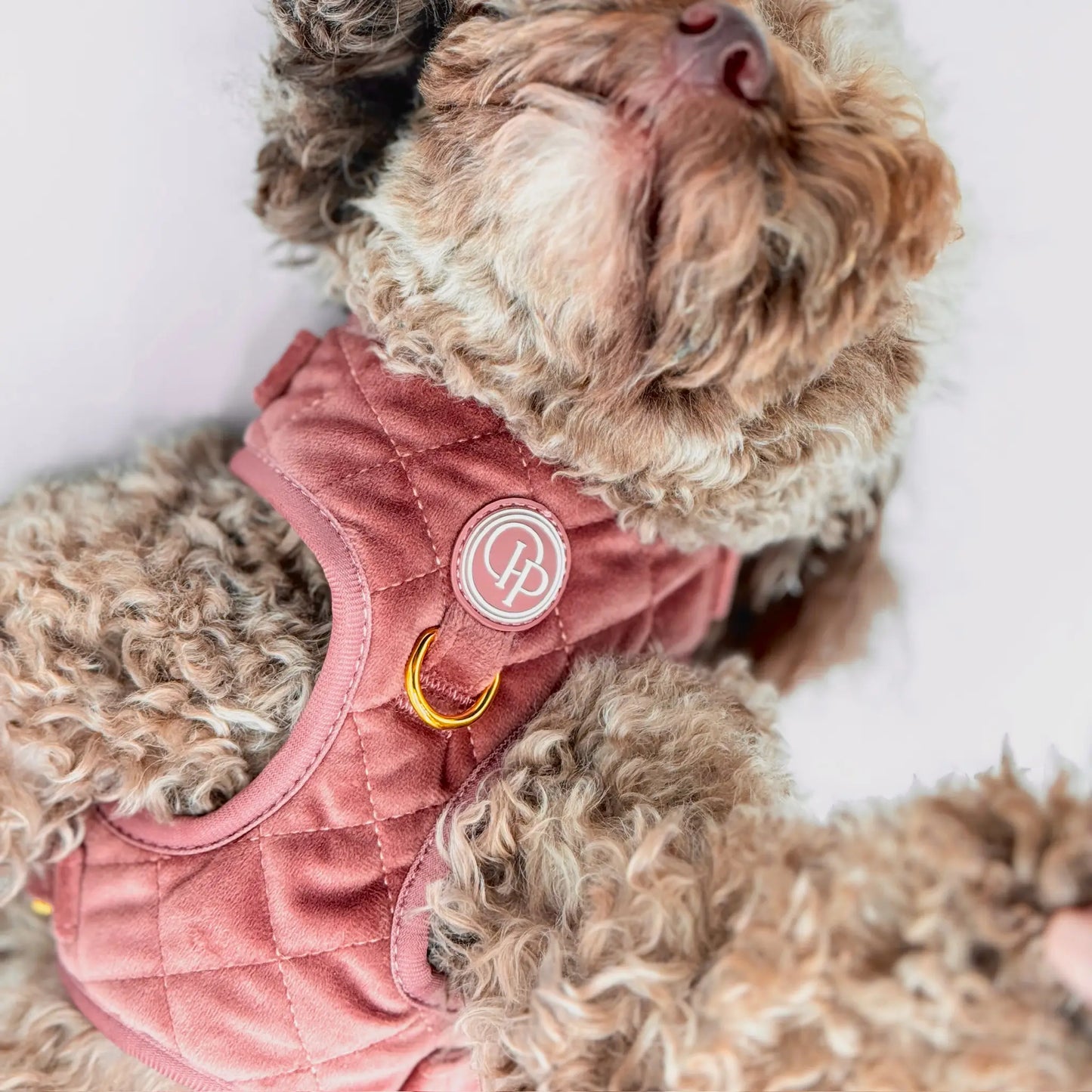 Sametový beztlakový postroj pro psa – cihlově růžový