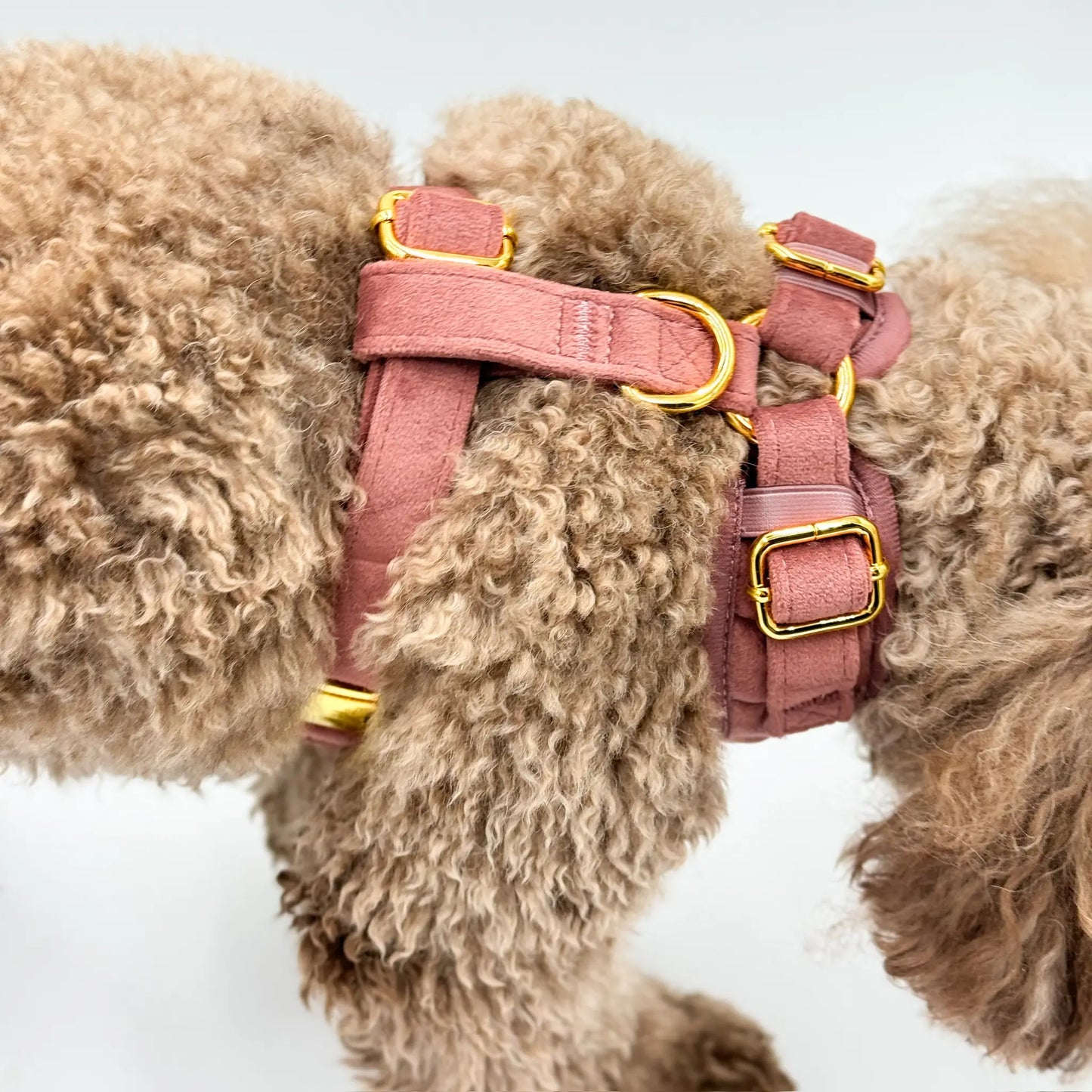 Sametový beztlakový postroj pro psa – cihlově růžový