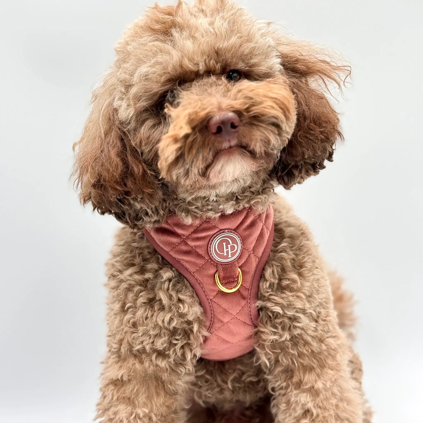 Sametový beztlakový postroj pro psa – cihlově růžový