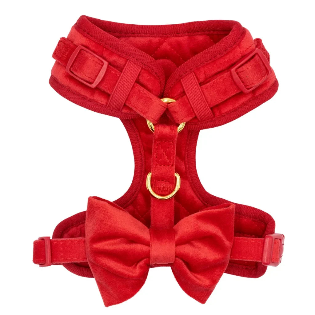 Sametový beztlakový postroj pro psa 2.0 – červený