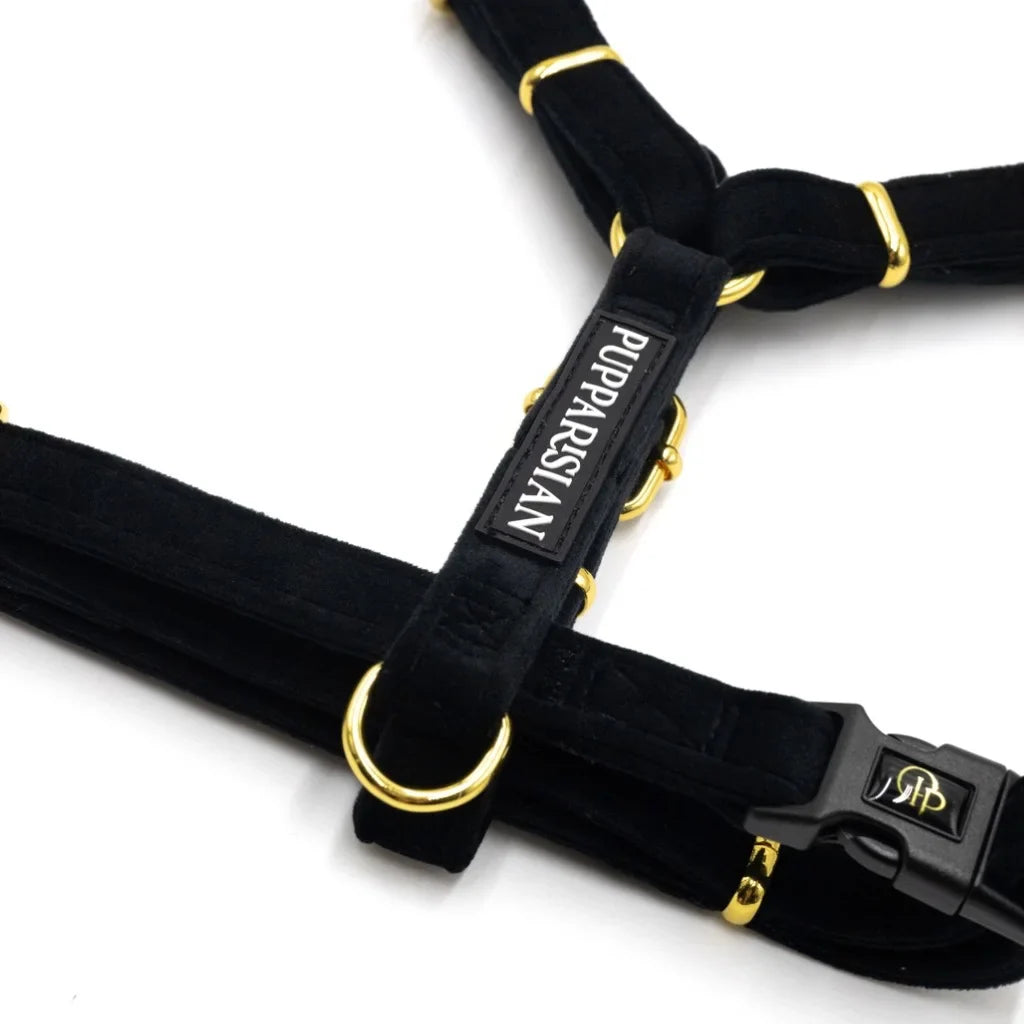 Sametový postroj typu guard pro psa 2.0 – černý