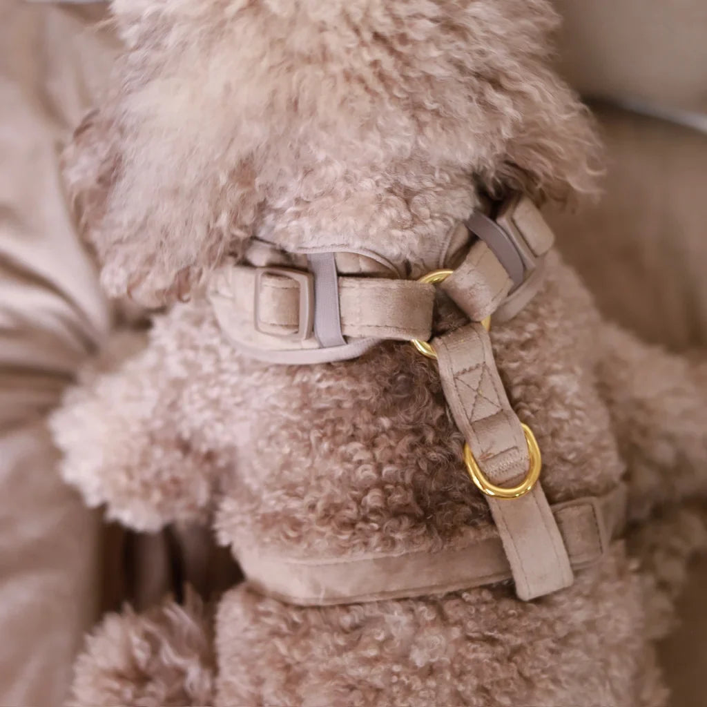 Sametový beztlakový postroj pro psa – béžový