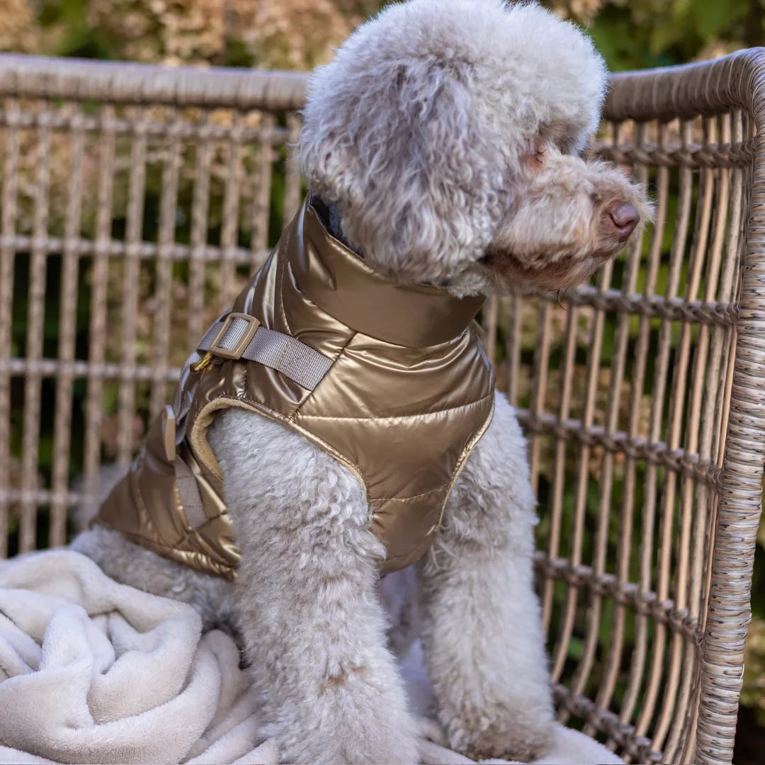 Kurtka dla psa zimowa 2w1 ocieplana wodoodporna - Złota