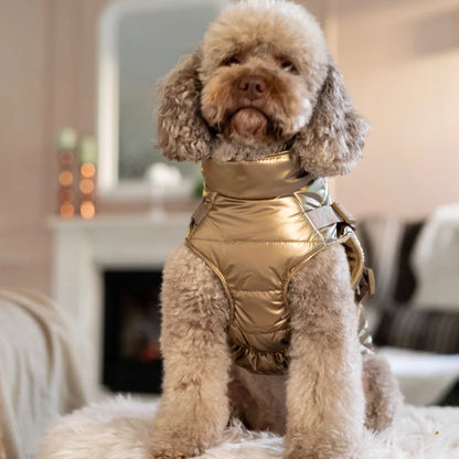 Kurtka dla psa zimowa 2w1 ocieplana wodoodporna - Złota