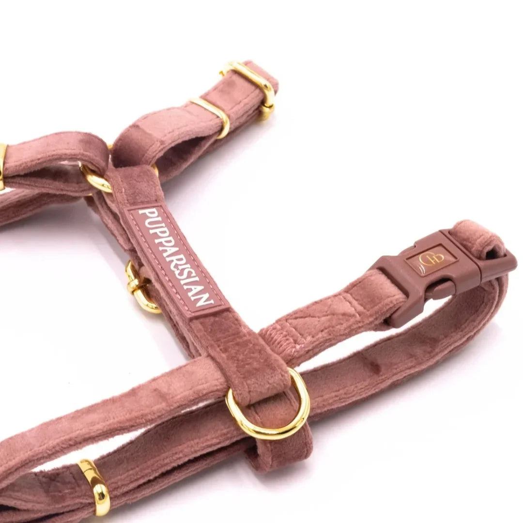 Welurowe szelki guard dla psa z kokardą 2.0 - ceglasty róż