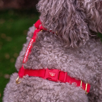 Sametový postroj typu guard pro psa s mašlí 2.0 – červený