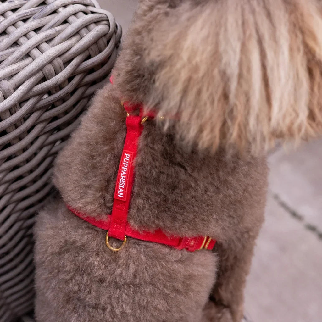 Sametový postroj typu guard pro psa 2.0 – červený