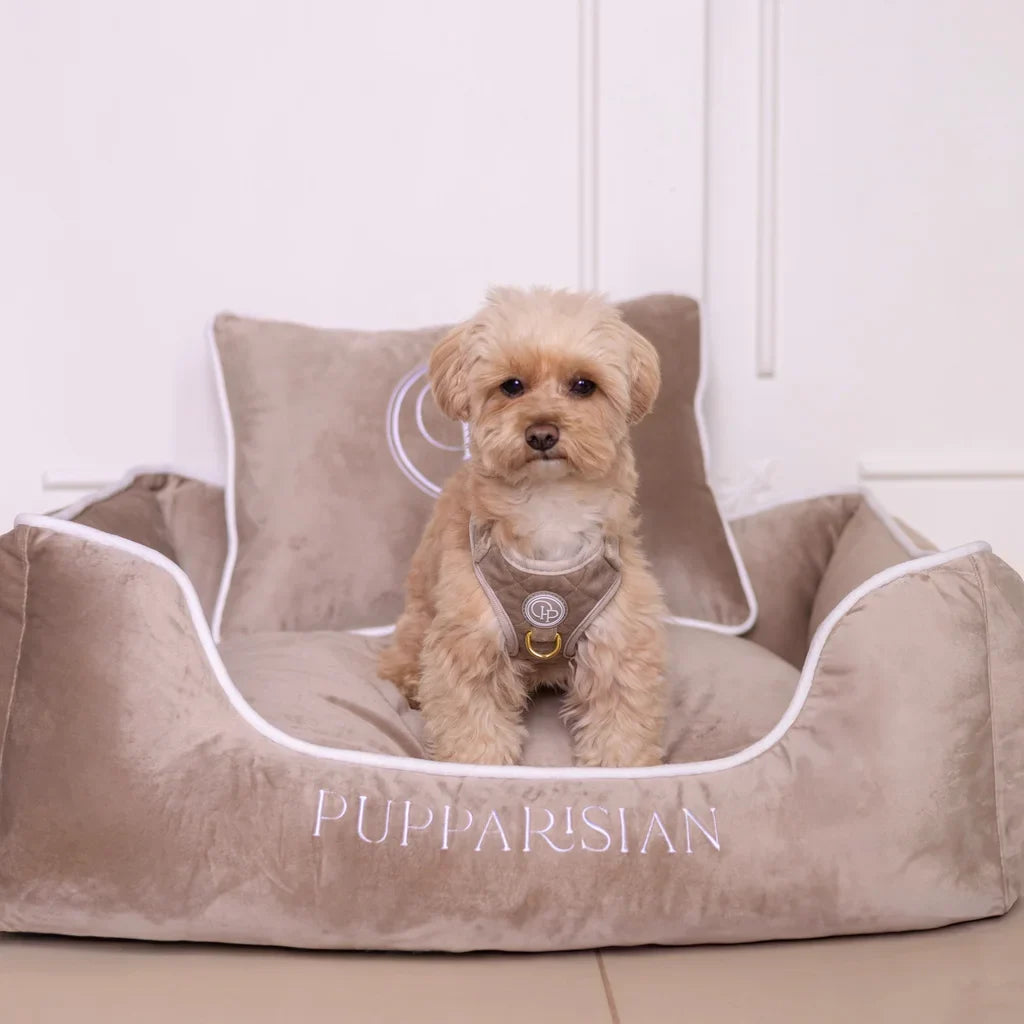 Sametový pelíšek pro psa – béžový