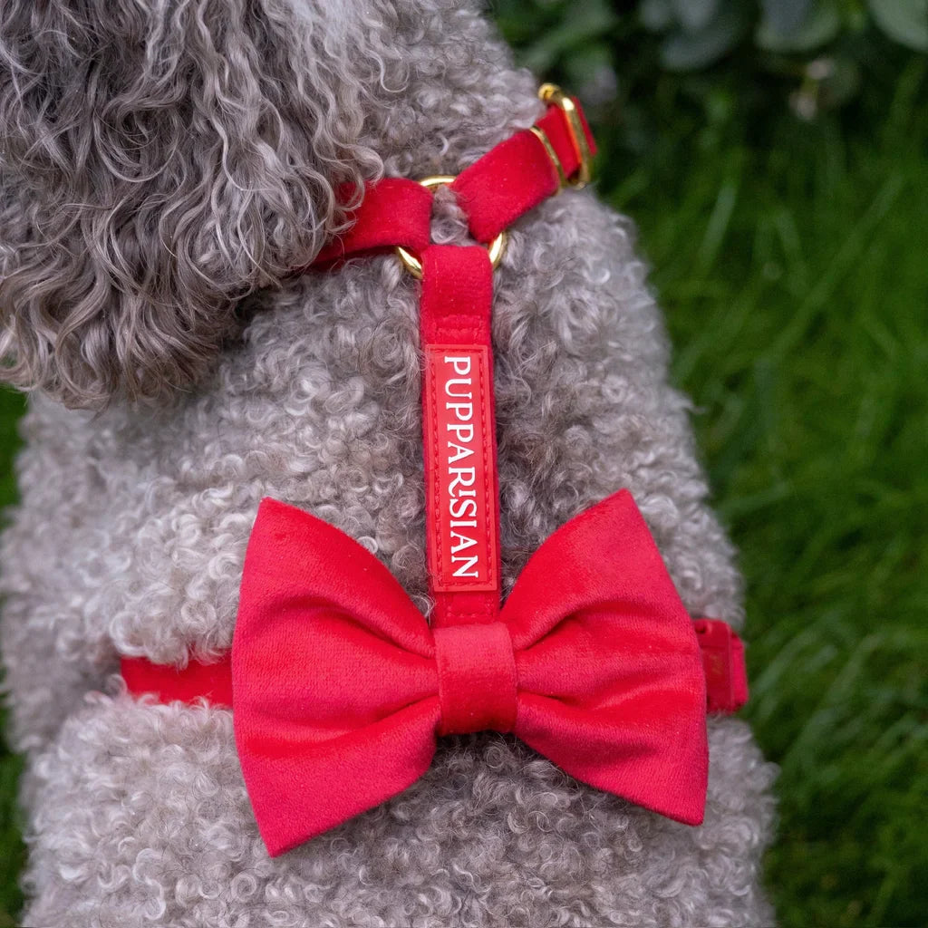 Sametový postroj typu guard pro psa s mašlí 2.0 – červený