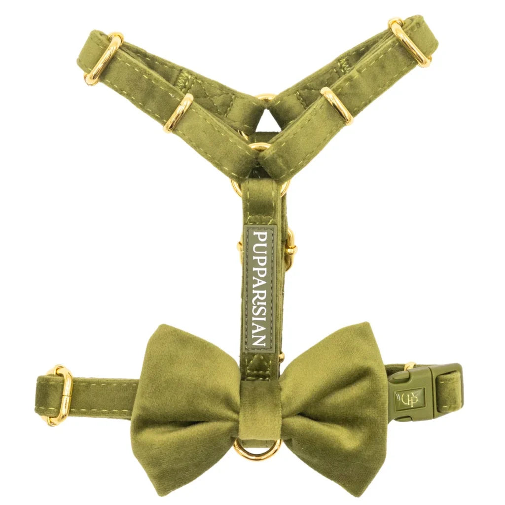 Sametový postroj typu guard pro psa s mašlí 2.0 – olivově zelený