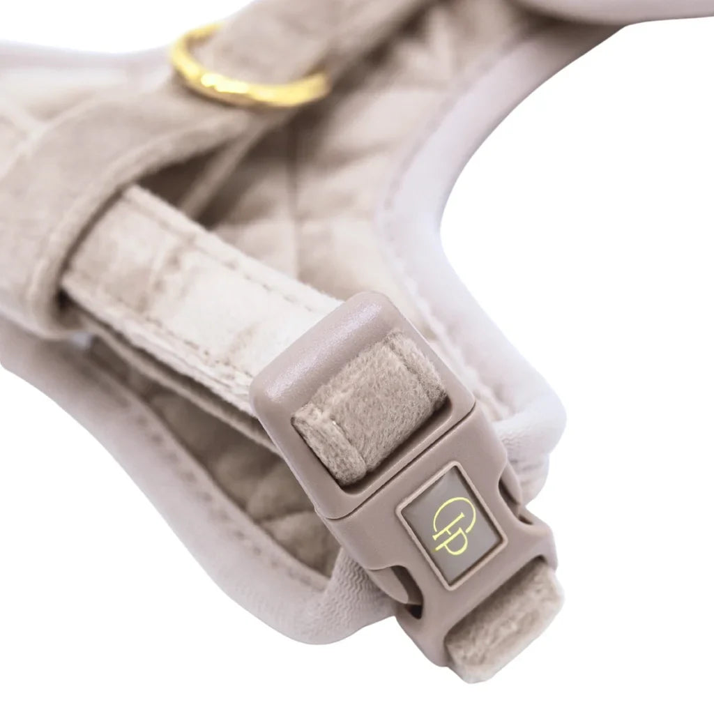 Sametový beztlakový postroj pro psa – béžový